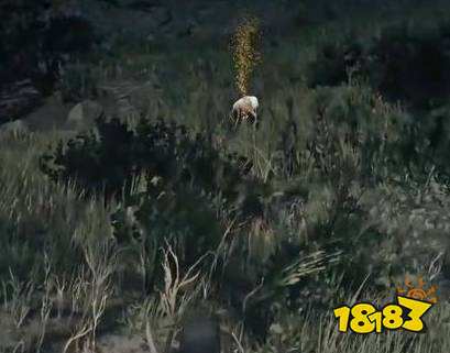 荒野大镖客2三星麋鹿位置在哪 三星麋鹿位置