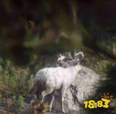 荒野大镖客2三星麋鹿位置在哪 三星麋鹿位置