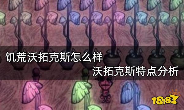 饥荒沃拓克斯怎么样 沃拓克斯特点分析