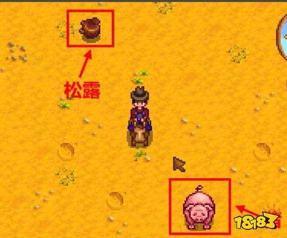 星露谷物语松露油怎么获得 星露谷物语松露油获得攻略