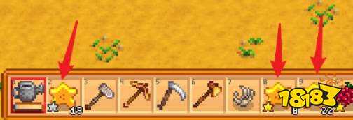 星露谷物语温室种什么好 星露谷物语温室种植攻略