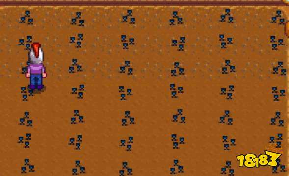 星露谷物语温室种什么好 星露谷物语温室种植攻略