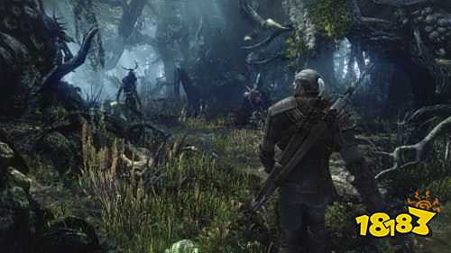 巫师3骑士风云录完美结局是什么 巫师3骑士风云录完美结局