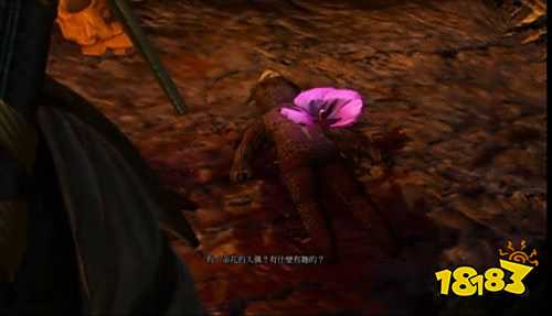 巫师3安娜的人偶选哪个 巫师3安娜的人偶选择介绍