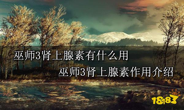 巫师3肾上腺素有什么用 巫师3肾上腺素作用介绍