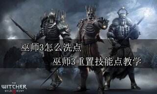 巫师3怎么洗点 巫师3重置技能点教学