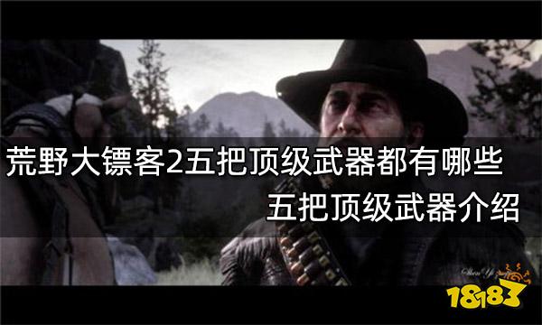 荒野大镖客2五把顶级武器都有哪些 五把顶级武器介绍
