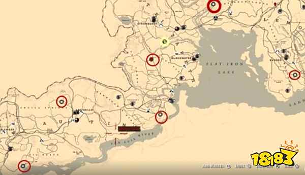 荒野大镖客2纳扎尔夫人每日位置分布在哪 纳扎尔夫人每日位置一览