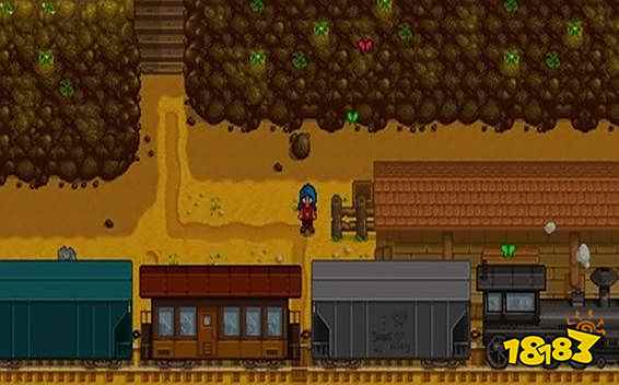 星露谷物语头骨钥匙有什么用 星露谷物语头骨钥匙攻略介绍