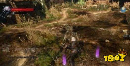 巫师3井里的恶魔在哪 巫师3井里的恶魔任务攻略