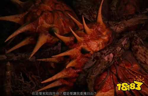 巫师3呢喃山丘怎么选利益最大 巫师3呢喃山丘大团圆结局攻略