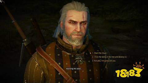 巫师3呢喃山丘怎么选利益最大 巫师3呢喃山丘大团圆结局攻略