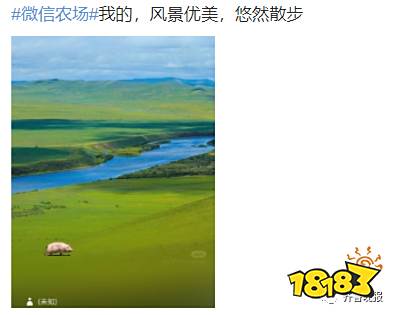 养猪养狗养蟑螂,微信农场的创意原来是抄袭抖音?