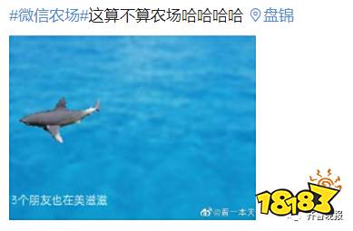 养猪养狗养蟑螂,微信农场的创意原来是抄袭抖音?