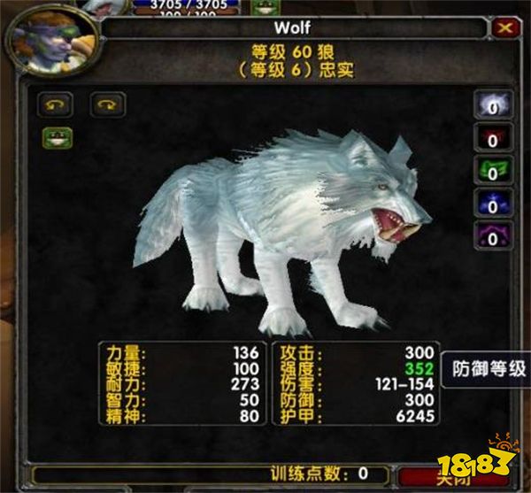 魔獸世界懷舊服獵人寶寶哪個好用 懷舊服獵人寶寶推薦