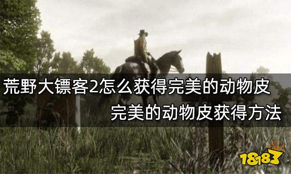荒野大镖客2怎么获得完美的动物皮 完美的动物皮获得方法