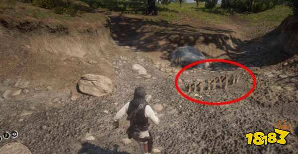 荒野大镖客2恐龙骨位置在哪 恐龙骨位置一览