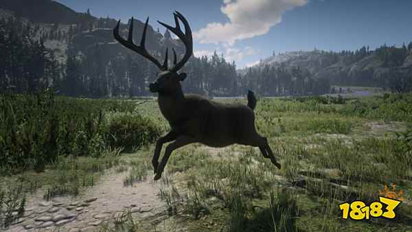 荒野大镖客2麋鹿哪里多 麋鹿位置分享