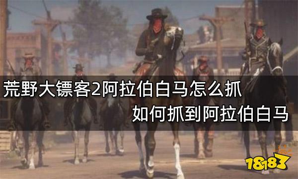 荒野大镖客2阿拉伯白马怎么抓 如何抓到阿拉伯白马