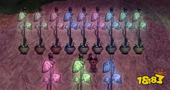 饥荒wegame和steam可以联机吗 wegame和steam联机方法介绍