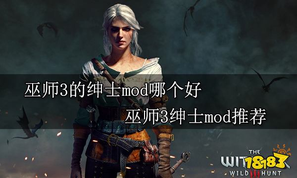 巫师3的绅士mod哪个好 巫师3绅士mod推荐