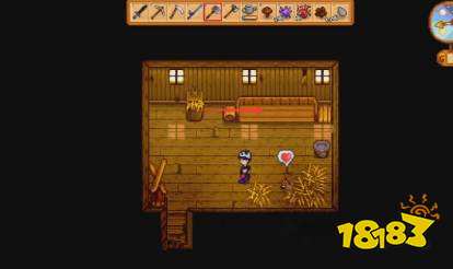 星露谷物语怎么养鸡 星露谷物语养鸡攻略