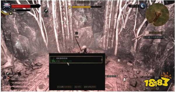 巫师3石之心如何达成完美结局 巫师3石之心完美结局攻略