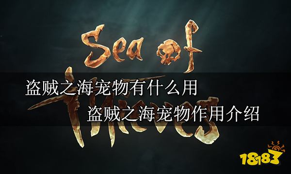 盗贼之海宠物有什么用 盗贼之海宠物作用介绍