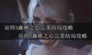 巫师3森林之心完美结局是什么 巫师3森林之心完美结局攻略