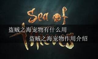 盗贼之海宠物有什么用 宠物作用介绍