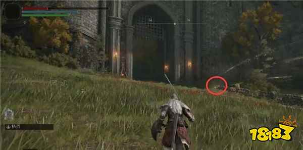 艾尔登法环马在哪里 灵马获取位置介绍