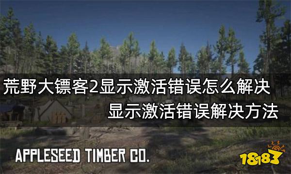 荒野大镖客2显示激活错误怎么解决 显示激活错误解决方法