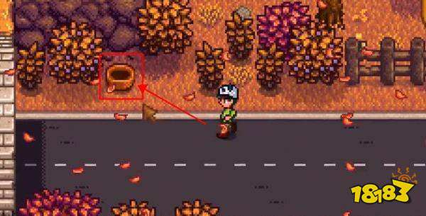 星露谷物语莱纳斯的黑莓篮子在哪里 星露谷物语黑莓篮子位置介绍