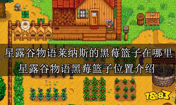 星露谷物语莱纳斯的黑莓篮子在哪里 星露谷物语黑莓篮子位置介绍