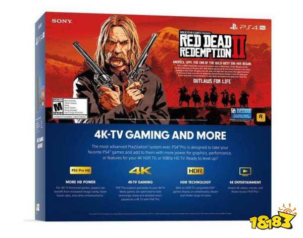 荒野大镖客2英文名是什么 荒野大镖客2英文名一览