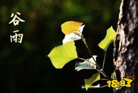 谷雨谚语有哪些 与谷雨有关的诗词谚语盘点