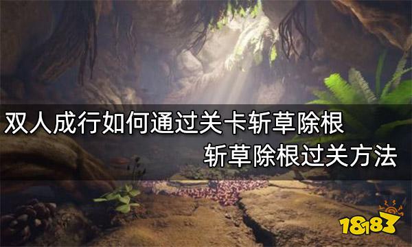 双人成行如何通过关卡斩草除根 斩草除根过关方法