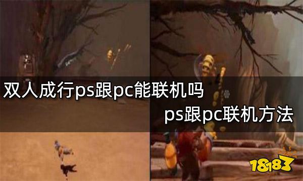 双人成行ps跟pc能联机吗 ps跟pc联机方法