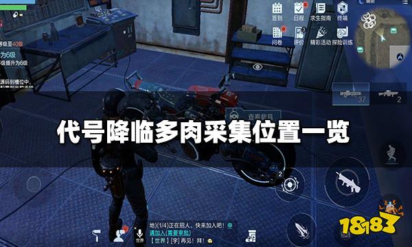 代号降临多肉在哪里采集 多肉采集位置一览