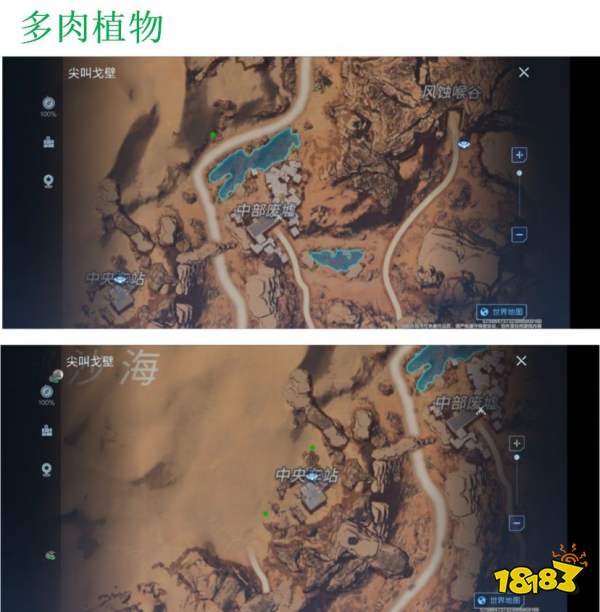 代号降临多肉在哪里采集 多肉采集位置一览