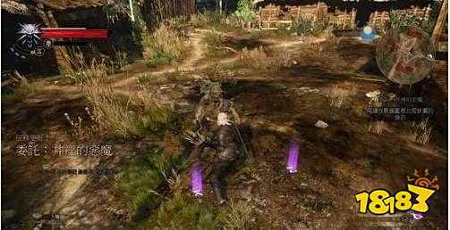 巫师3井里的恶魔怎么从井里上来 巫师3井里的恶魔任务攻略