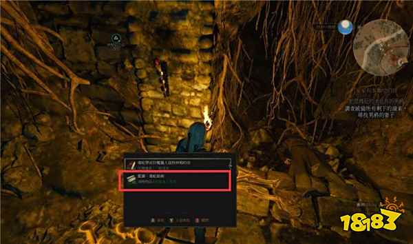 巫师3毒蛇学派装备如何获得 巫师3毒蛇学派装备获得攻略