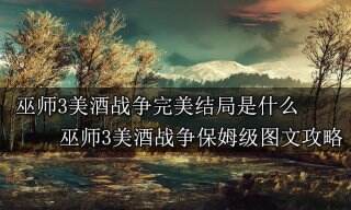 巫师3美酒战争完美结局是什么 巫师3美酒战争保姆级图文攻略
