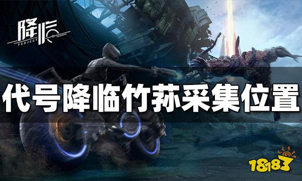 代号降临竹荪采集位置在哪 竹荪采集位置介绍