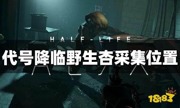 代号降临野生杏采集位置在哪 野生杏采集位置一览