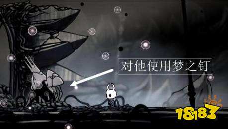 空洞騎士虛空之心怎么拿 空洞騎士虛空之心獲取攻略
