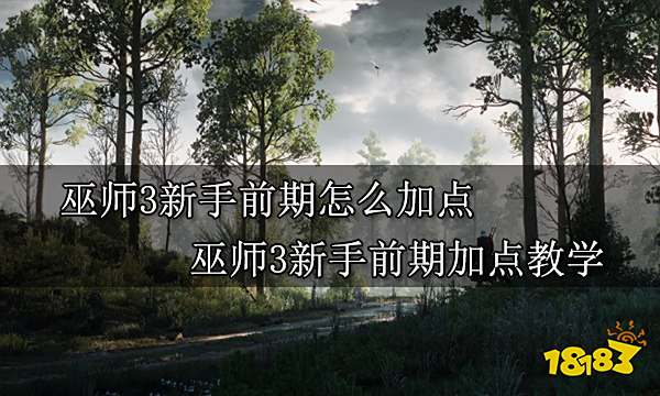 巫师3新手前期怎么加点 巫师3新手前期加点教学