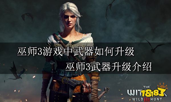 巫师3游戏中武器如何升级 巫师3武器升级介绍