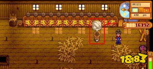 星露谷物语布料怎么获得 星露谷物语布料获得攻略