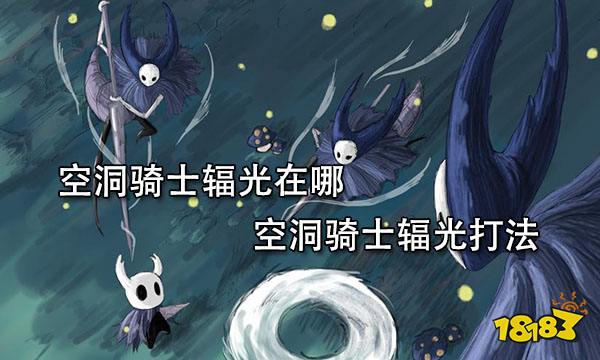 空洞骑士辐光在哪 空洞骑士辐光打法